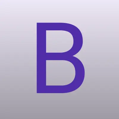 BSauto
