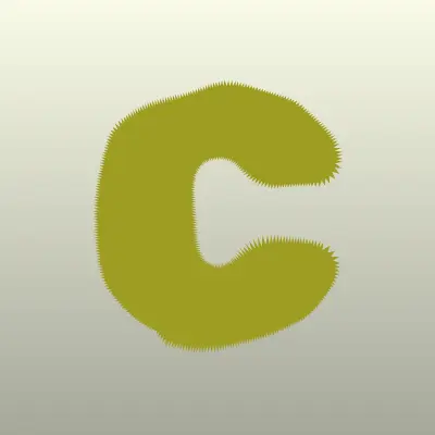 Cheese Photo