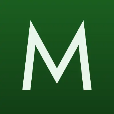 Мегавольт Плюс