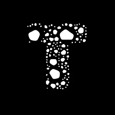 T2